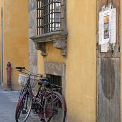 Bikes in Lucca